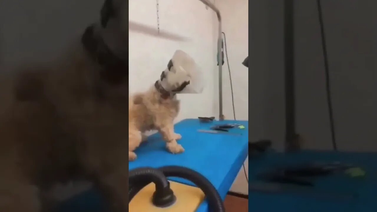 New Self defense technique for the ladies..#short