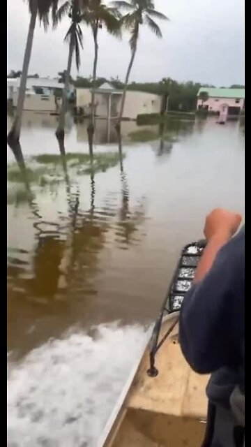 Airboat driving over flooded roads in Everglades City, FL | Video Credit: Emily Brown