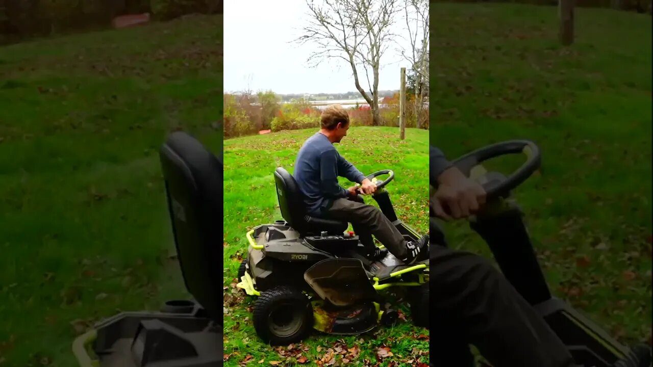 STOP! Don't throw away those leaves!