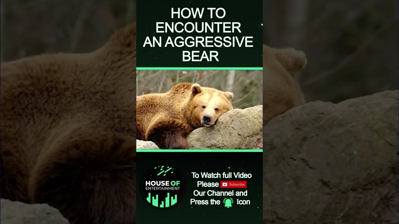 How to Encounter an Aggressive BEAR #Shorts
