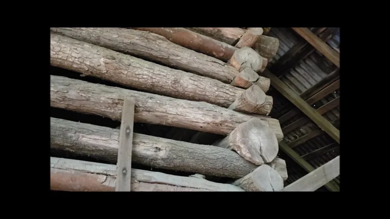 Deep woods abandoned barn exploration! Old cabin found inside barn!