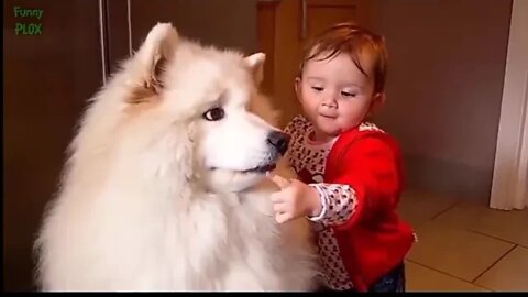 Baby and dogs funny clip's