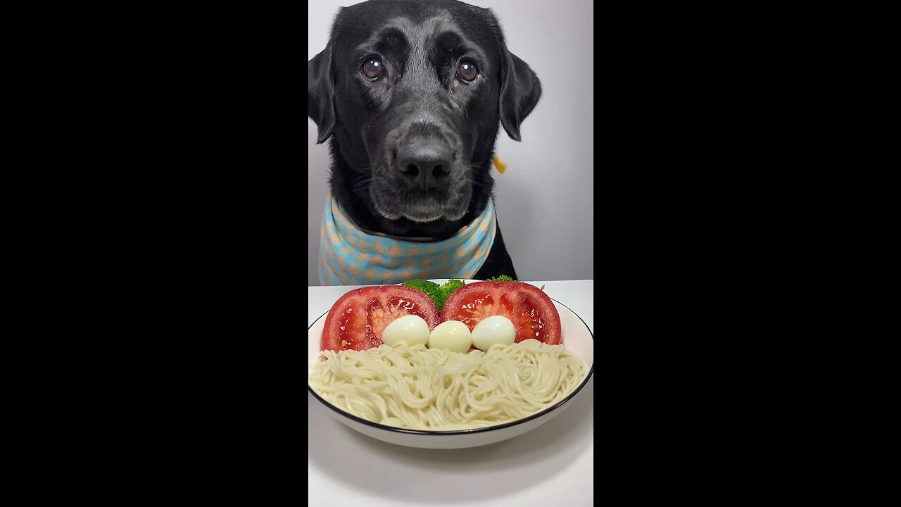 Mom, It's Time to Remove Broccoli from the Menu! 🥦🐶