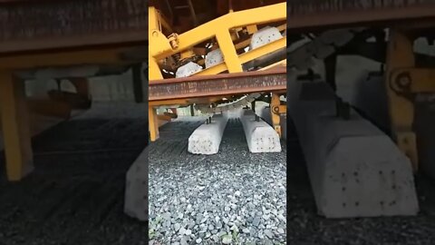 Most Popular and Trending videos(4)