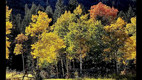 Shell Canyon Wyoming Fall Colors Sept 29,2023 CanAm x3