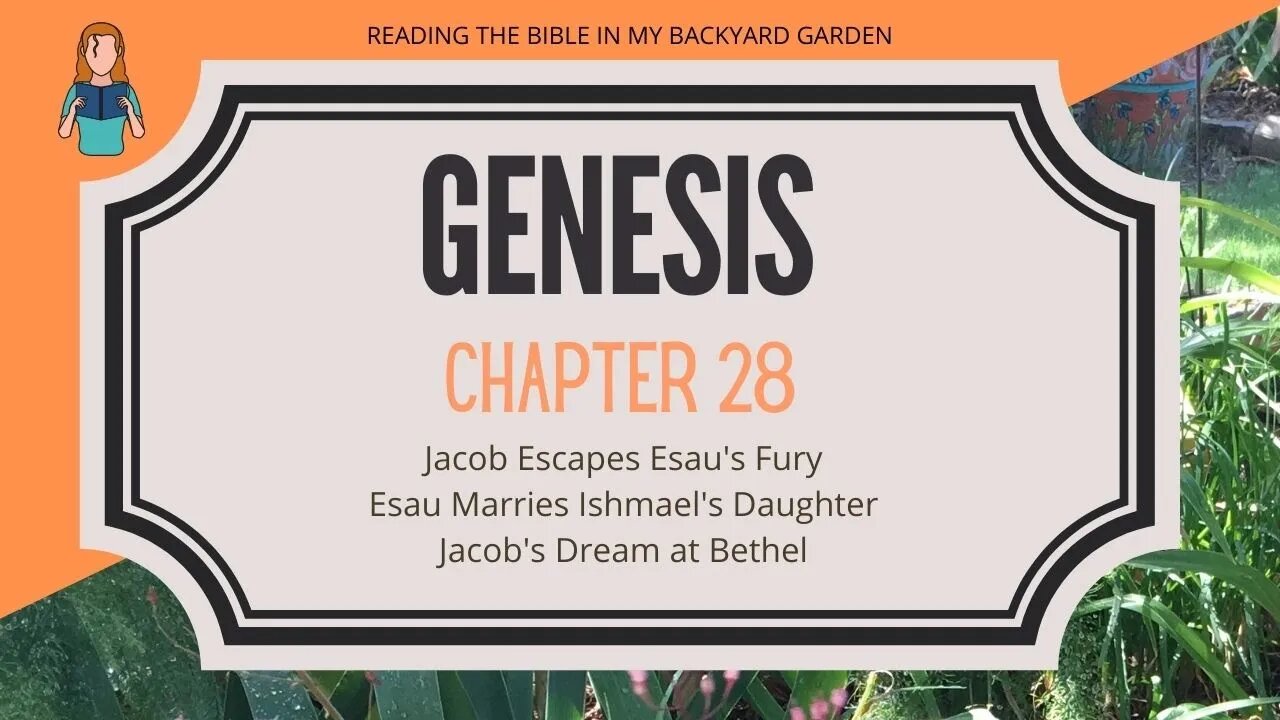 Genesis Chapter 28 | NRSV Bible Reading