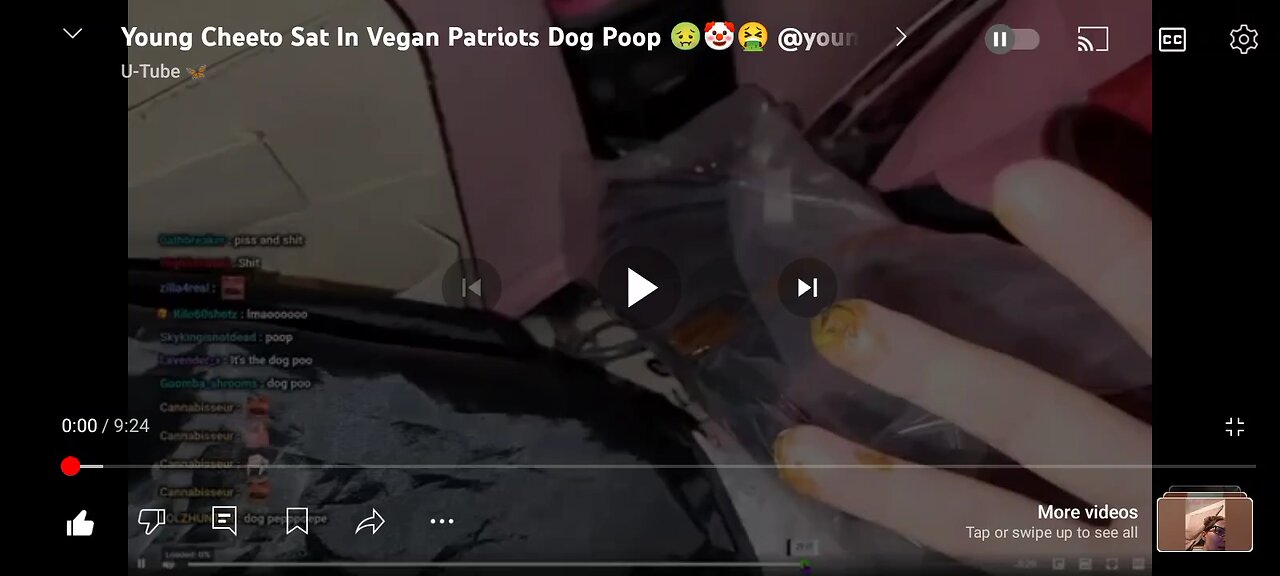 cheetoman sits in vp's dog shit