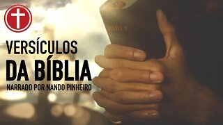 20 VERSÍCULOS BÍBLICOS PARA COMEÇAR O SEU DIA EM JESUS CRISTO | A BIBLIA NARRADA