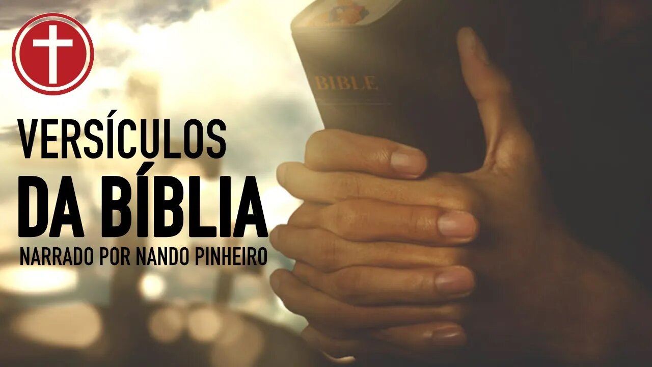 20 VERSÍCULOS BÍBLICOS PARA COMEÇAR O SEU DIA EM JESUS CRISTO | A BIBLIA NARRADA