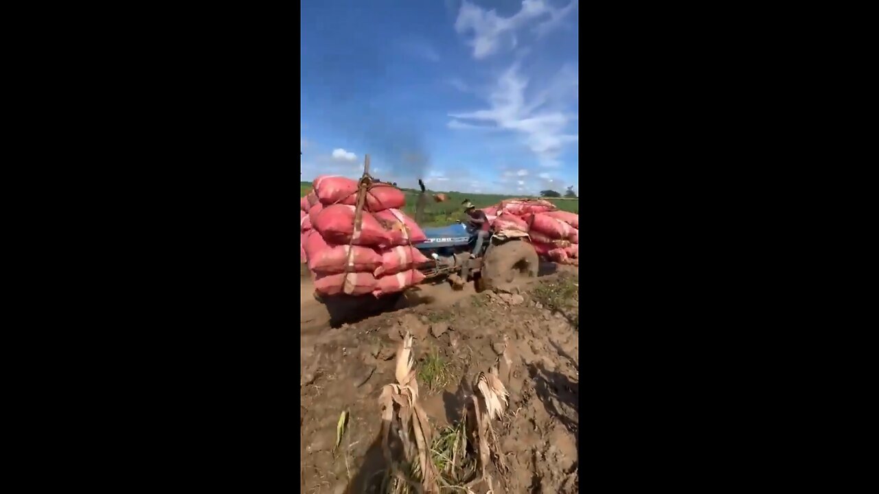 The working process is satisfactory, the workers are working perfectly