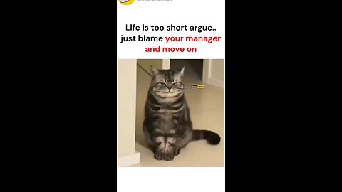 how to blame your manager