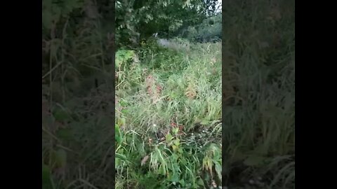 Enjoying Life's View