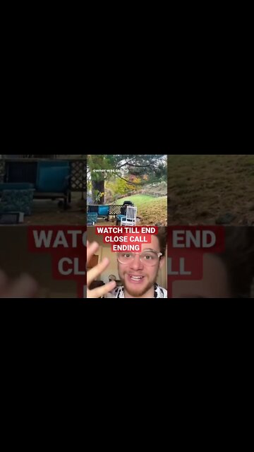 DOG CHASES A BEAR 😬😬