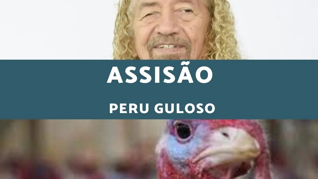 Assisão - Peru Guloso