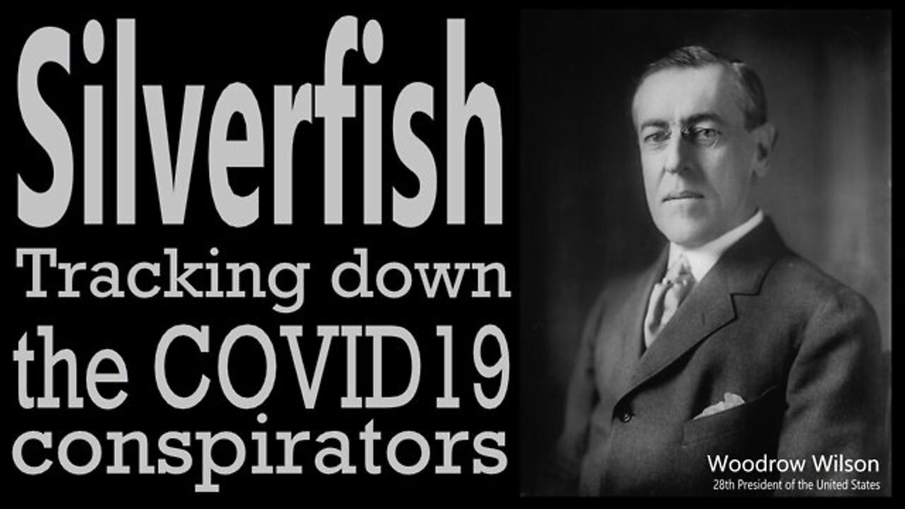 💥 "Silverfish" ~ Tracking Down The COVID19 Conspirators/Criminals and Murderers ~ 6 Hour Documentary