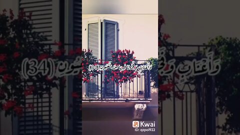 ياترى الفيديو ده حيجيب كام أشتراك ولايك ؟؟؟ !!!