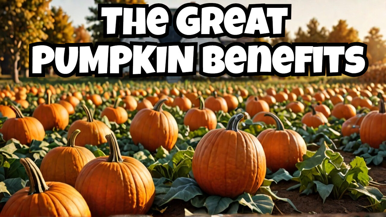 The Secret Benefits of Growing Pumpkins on Your Homestead