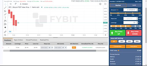 HOW TO MAKE $9000 THE CRYPTO 25/50 LEVERAGE SETTING FYBIT