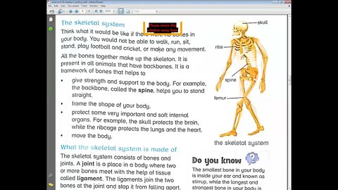Science Class 4 5 4 2021