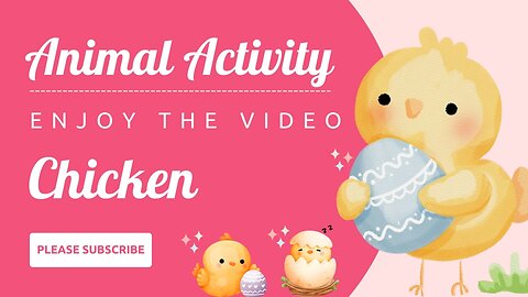 Animal Activity : Chicken