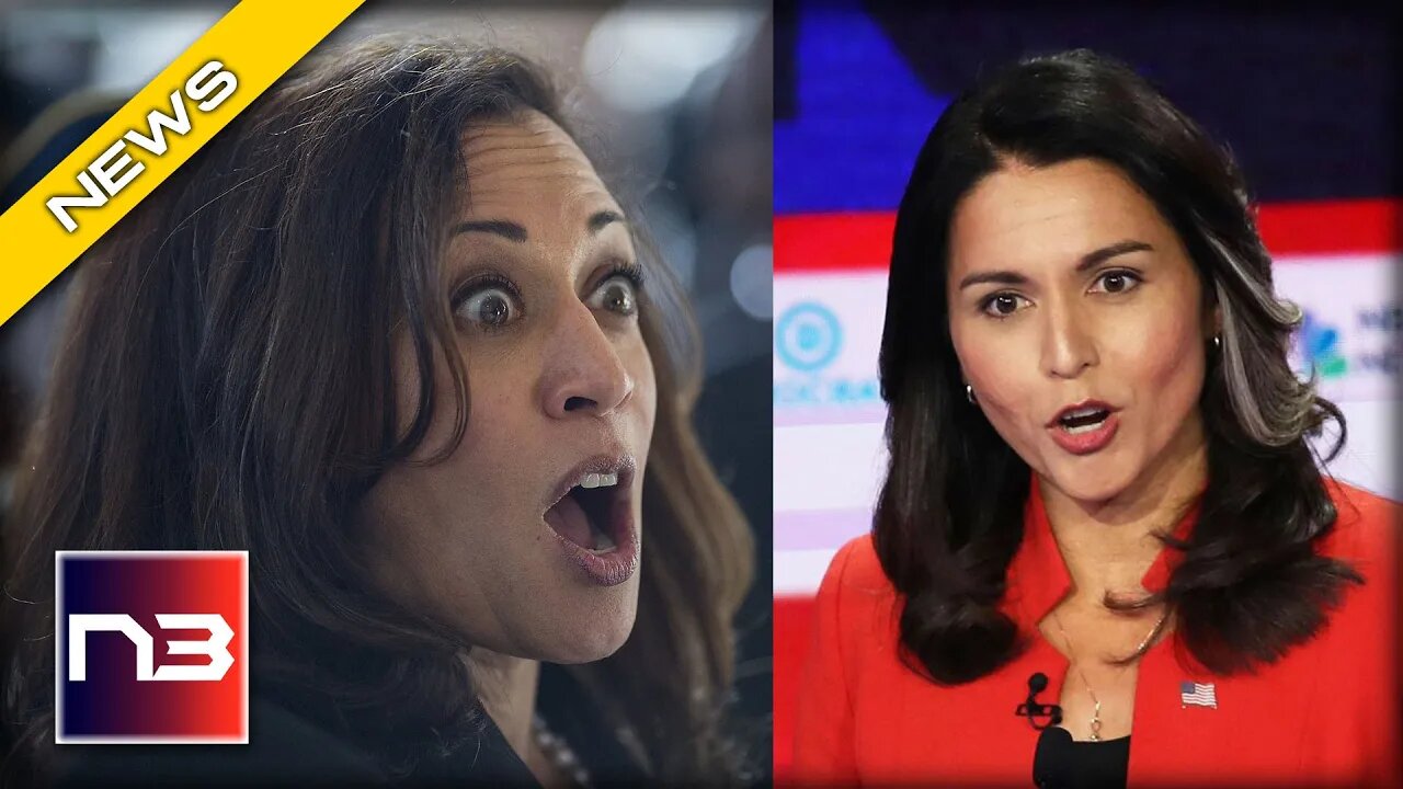 WATCH: Tulsi Gabbard Absolutely DESTROYS Dems Who Call MAGA Supporters Terrorists