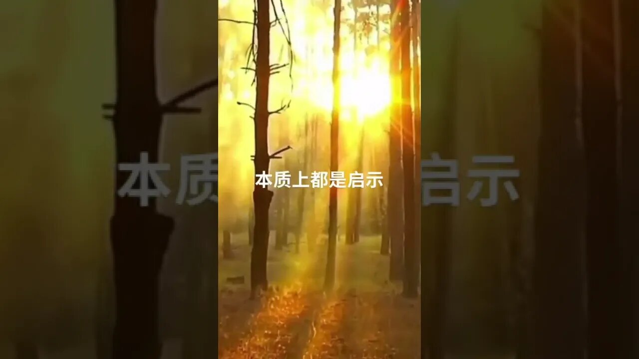 一句话开悟20220402