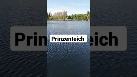 Prinzenteich #shorts #harz #natur #see #prinzenteich