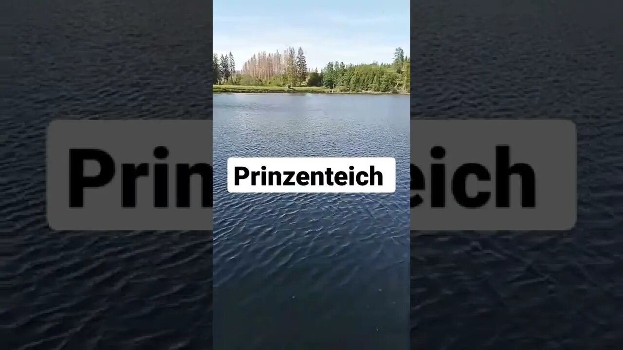 Prinzenteich #shorts #harz #natur #see #prinzenteich