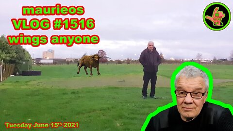 maurieos VLOG #1516 wings anyone
