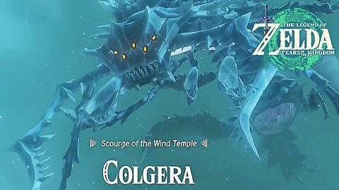 Colgera Boss Fight No Damage | TOTK