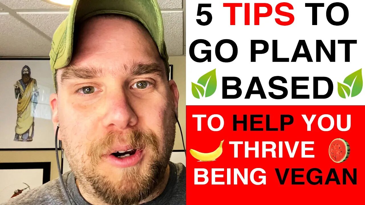 5 Tips on Making VEGAN/Plant Based Easy | Getting Started | Appliances Needed