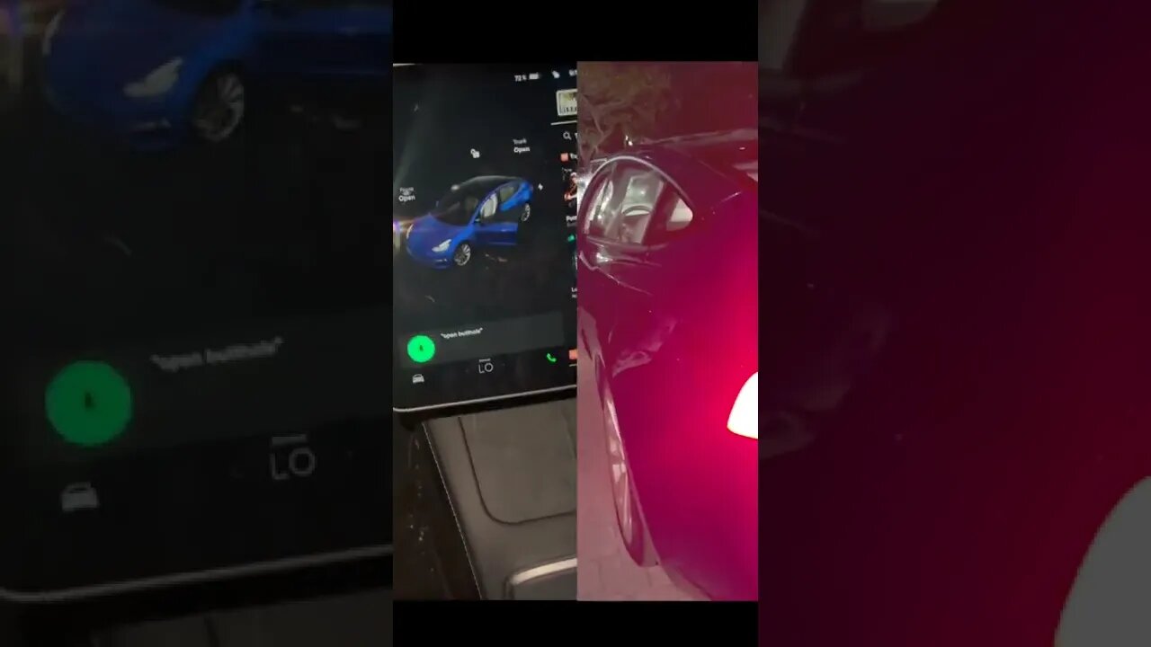 Tesla “Open Butthole” Voice Command?