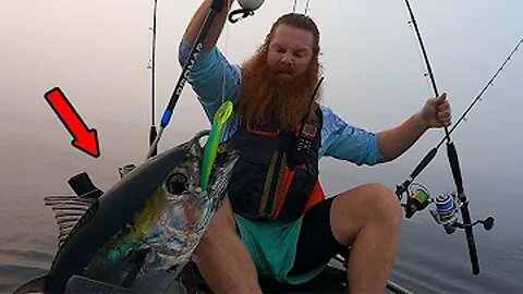 Blackfin Tuna Kayak Fishing ACTION!