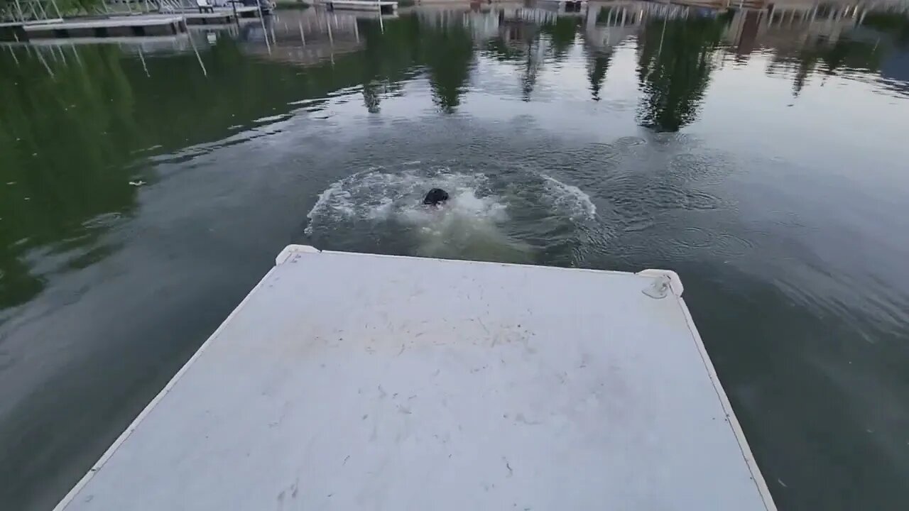 Cold Dip Sicamous Sands June 22, 2022