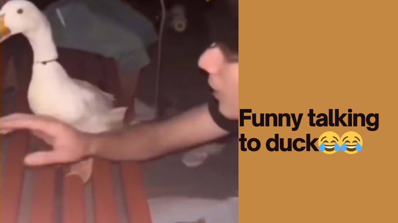 funny talking to duck #funny #funnyvideo #tiktok