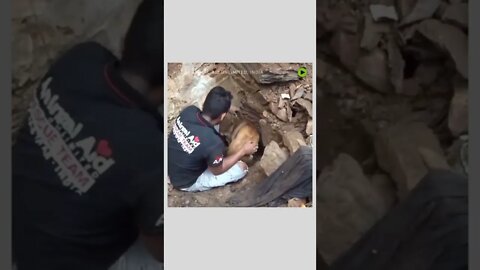 Heartwarming. #rescue