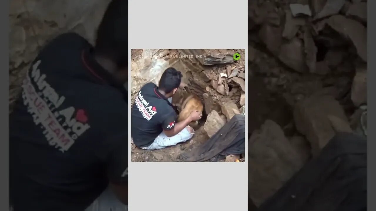 Heartwarming. #rescue