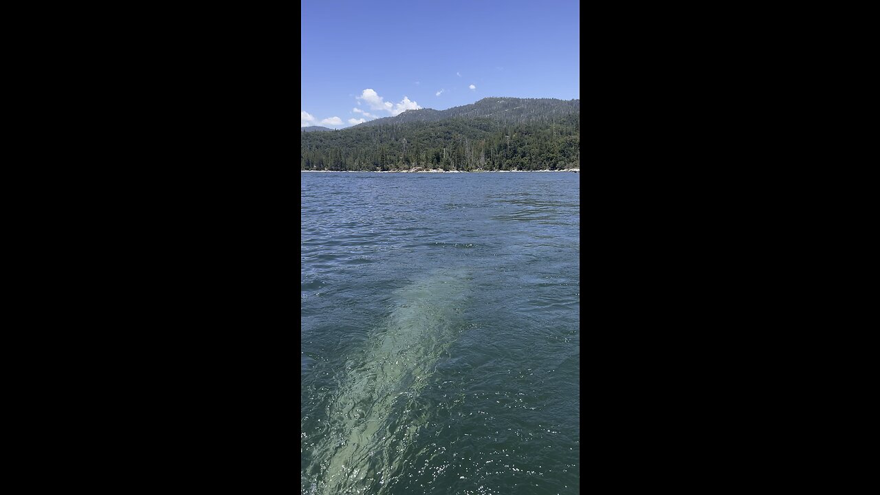 Bass lake California