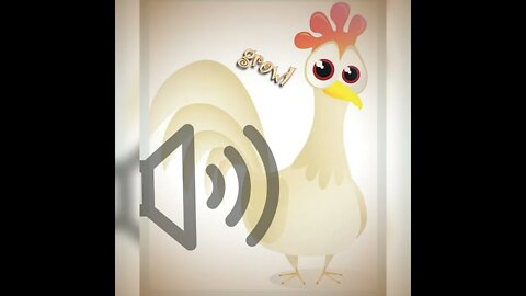 Soundcity world, Real life chicken in their habitat🤗