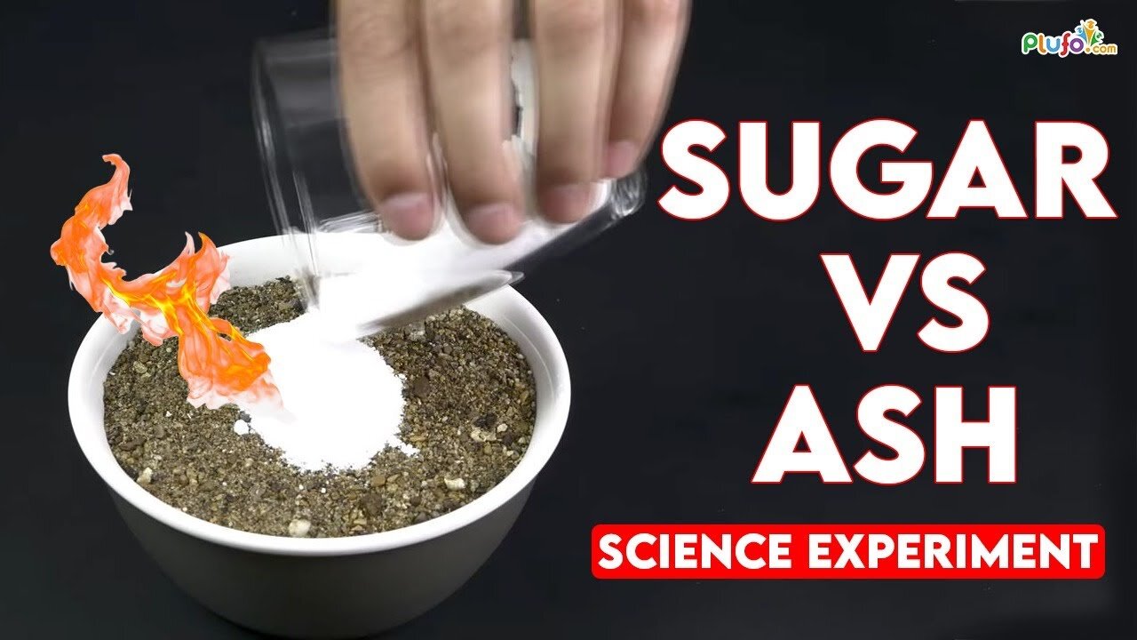 These Salt and Sugar Experiments will BLOW your mind! HILARIOUS!!!