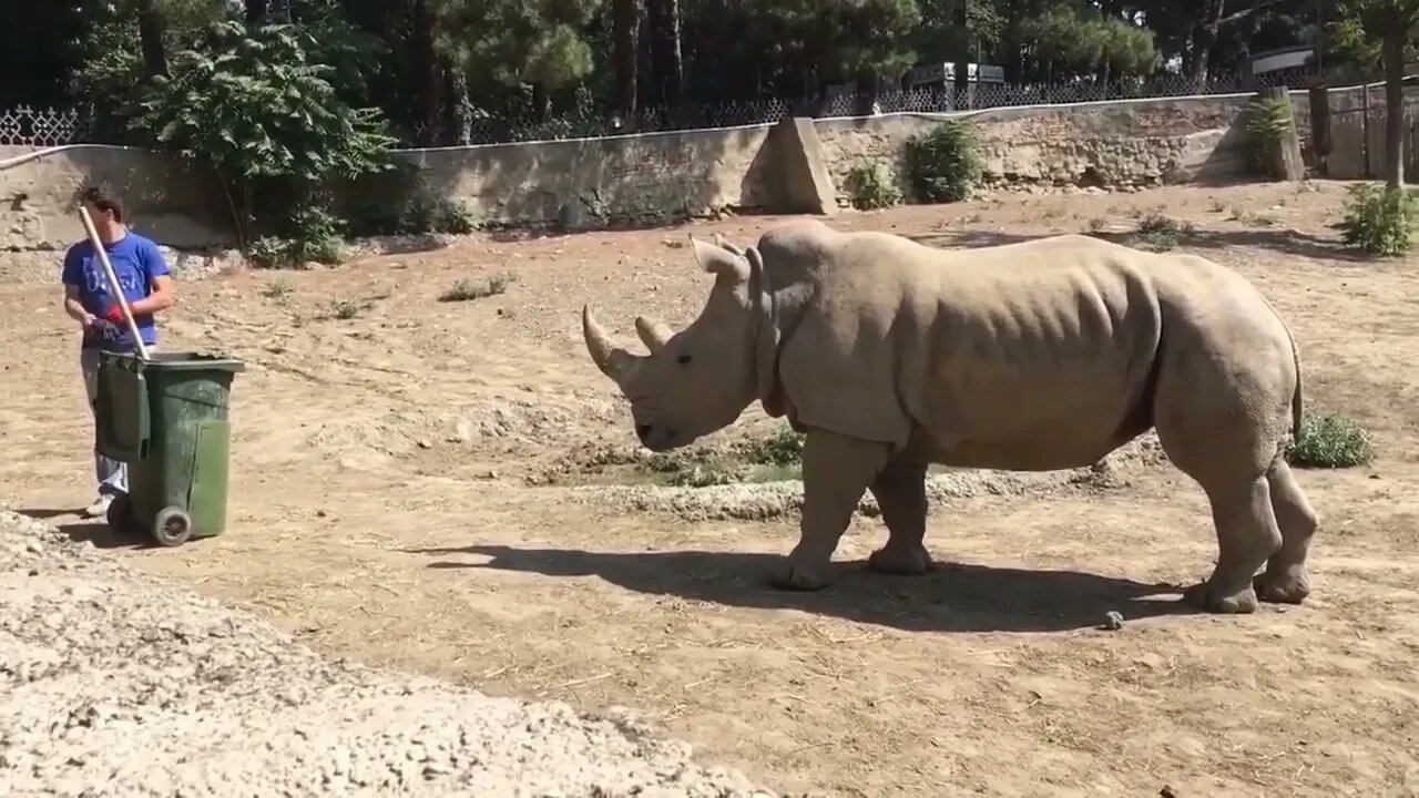 Normal day in Georgia (country)