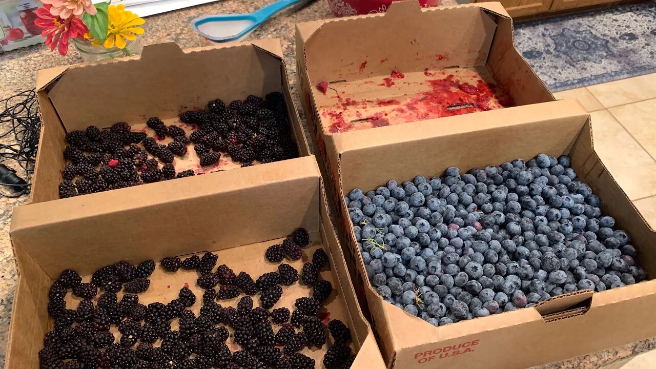 Canning Marionberry jam so delicious