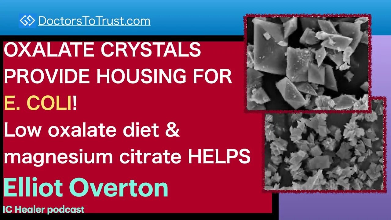 ELLIOT OVERTON 2 | OXALATE PROVIDE HOUSING FOR E. COLI: Low oxalate diet & magnesium citrate HELPS