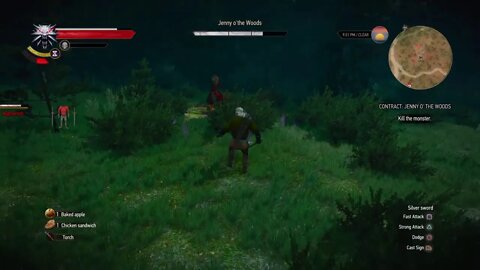 Witcher 3: Wild Hunt Live Gameplay 6