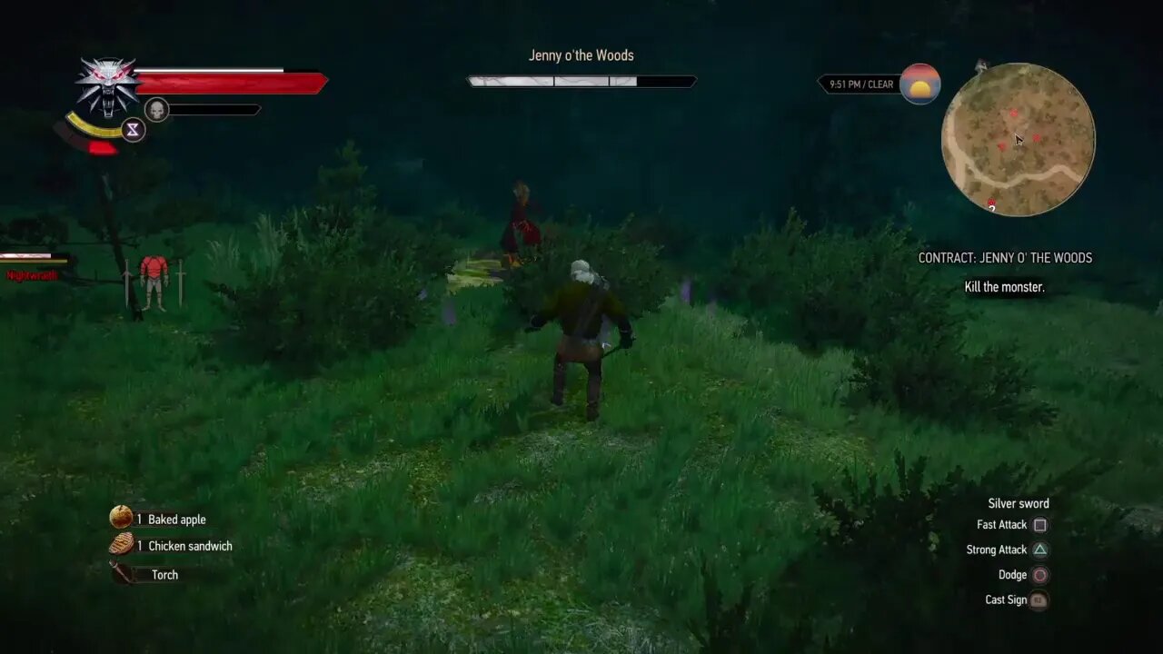 Witcher 3: Wild Hunt Live Gameplay 6
