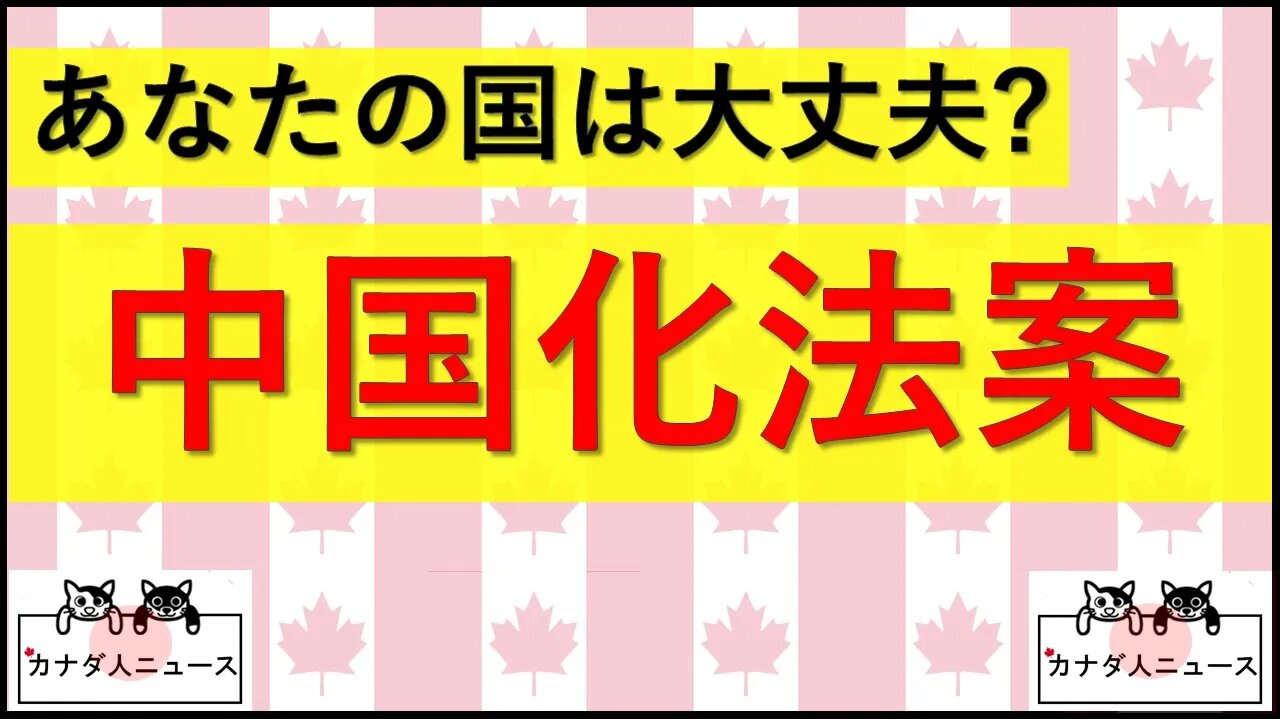 4.11 中国化法案