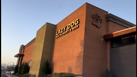 Lazy Dog Resturant Town Sq, NV