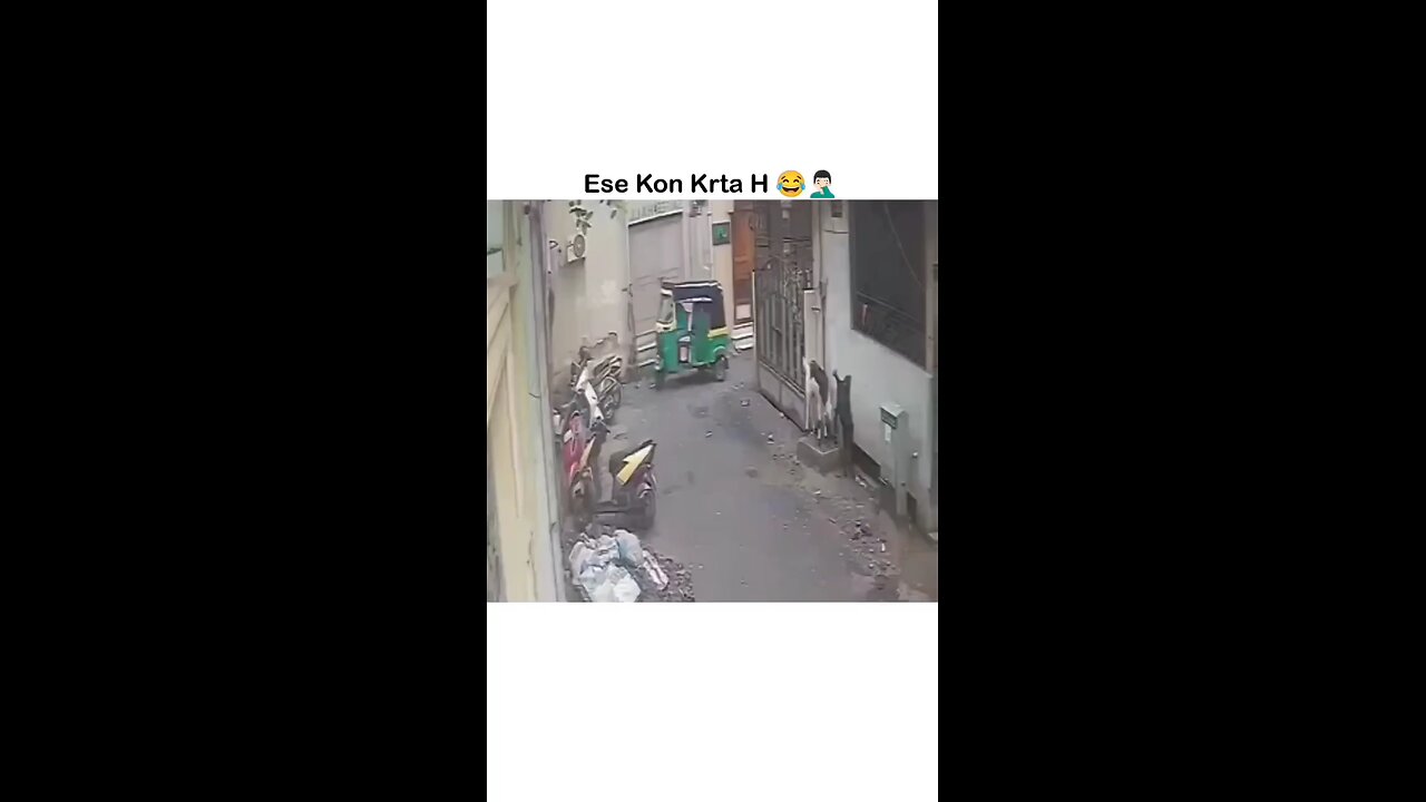MASKA JASKA...