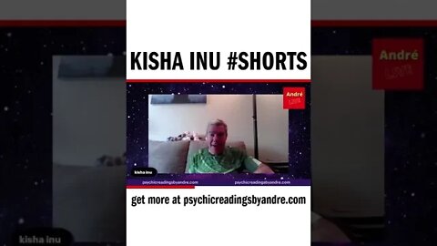 Kisha Inu #shorts