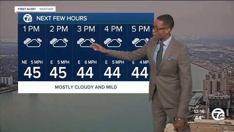 Milder temps with a few showers